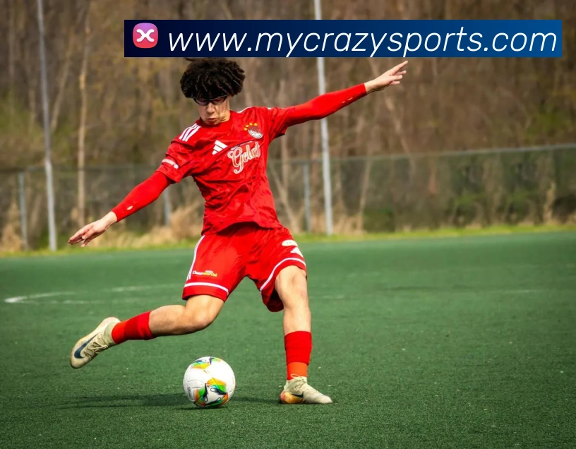 球赛投注服务体系